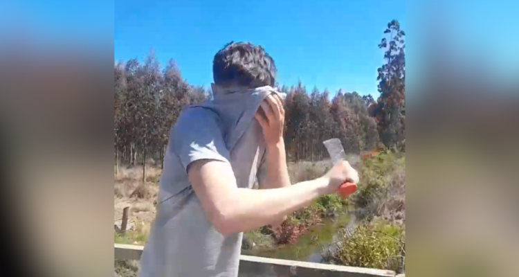 Video registra ataque con piedras y machete a camioneta en predio de Forestal Arauco en Mariquina