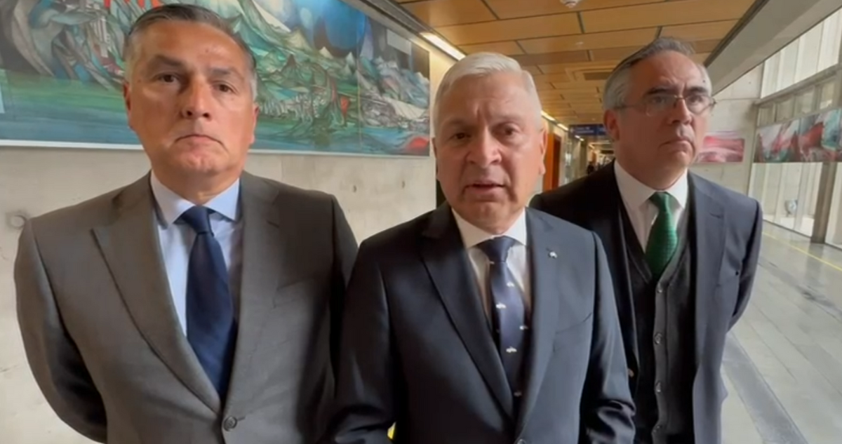 formalización yáñez