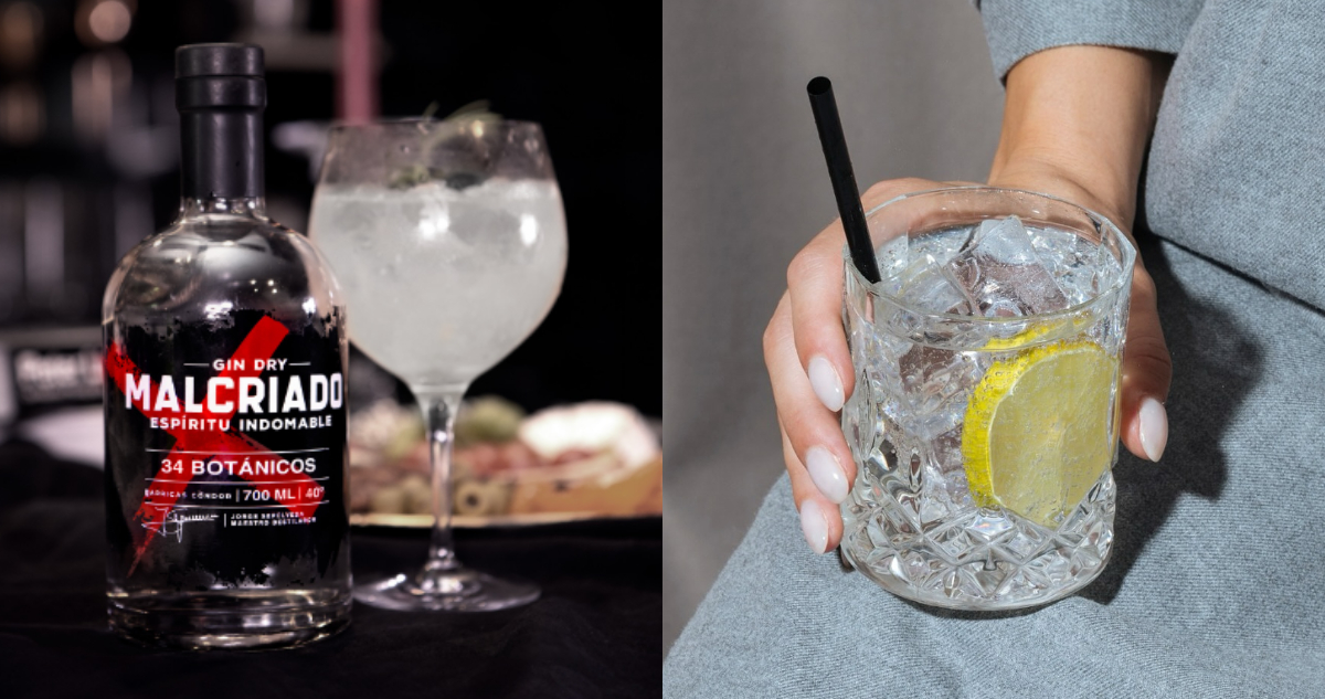 Gin Malcriado: el destilado chileno que conquista el mundo y suma reconocimientos internacionales