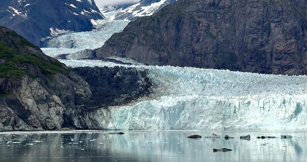 Cambio climático: glaciares sufrieron la mayor pérdida de masa en los últimos 50 años