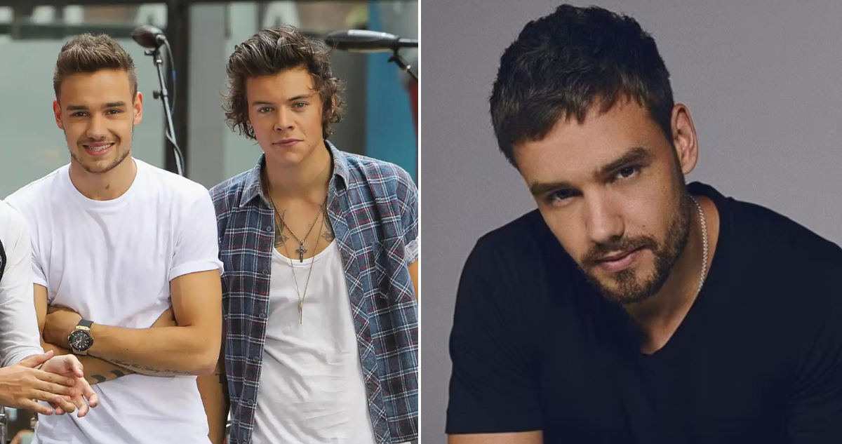 Harry Styles por Liam Payne