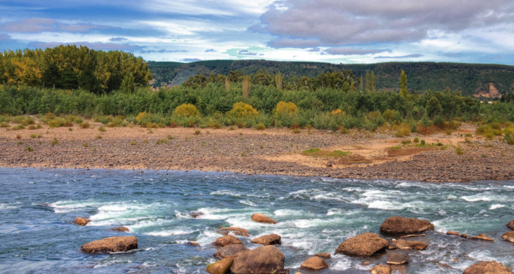 Hallan cuerpo de joven jinete que desapareció tras cabalgata por ribera del Río Bío Bío
