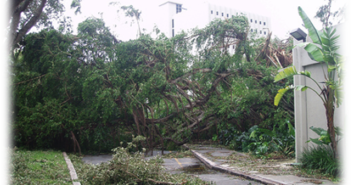 Categorías de huracanes y destrucción