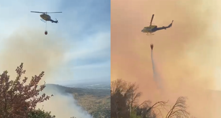 Bomberos y CONAF combaten incendio forestal 