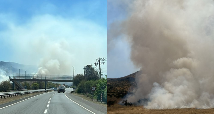 Incendio forestal afecta a 20 hectáreas de hacienda en Colina: CONAF y Bomberos combaten siniestro