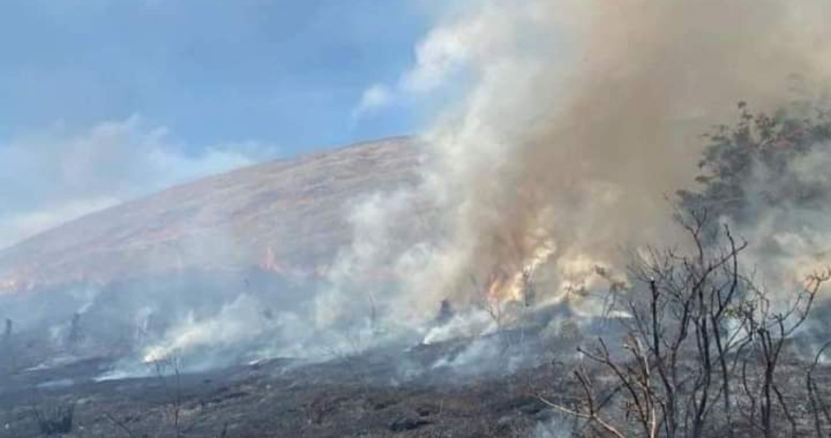 Incendio forestal en Isla de Pascua Rapa Nui