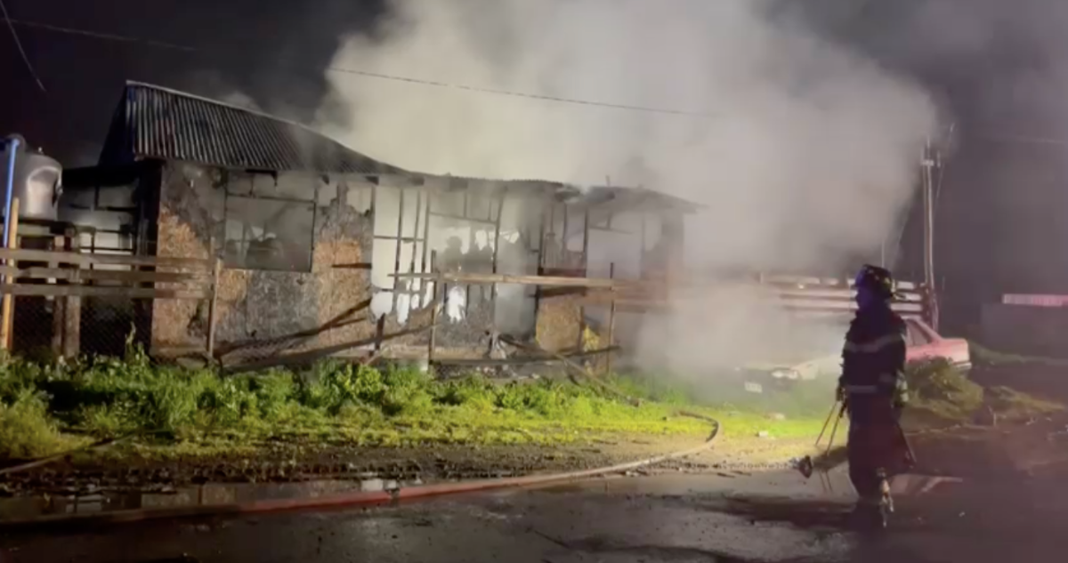 Adulto mayor muere en Osorno durante incendio que destruyó su vivienda: su nieta está herida y grave