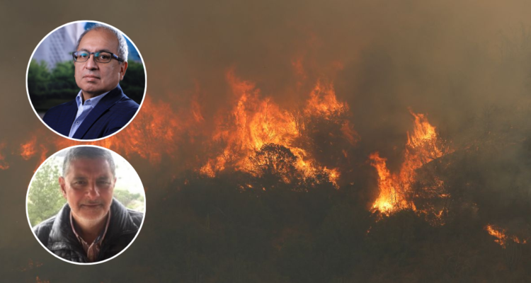 Incendios forestales