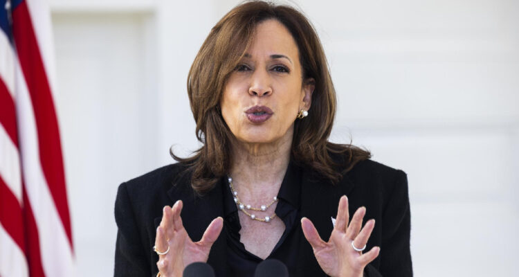 Como una “capitalista pragmática”: Kamala Harris busca ganar el voto latino a días de las elecciones