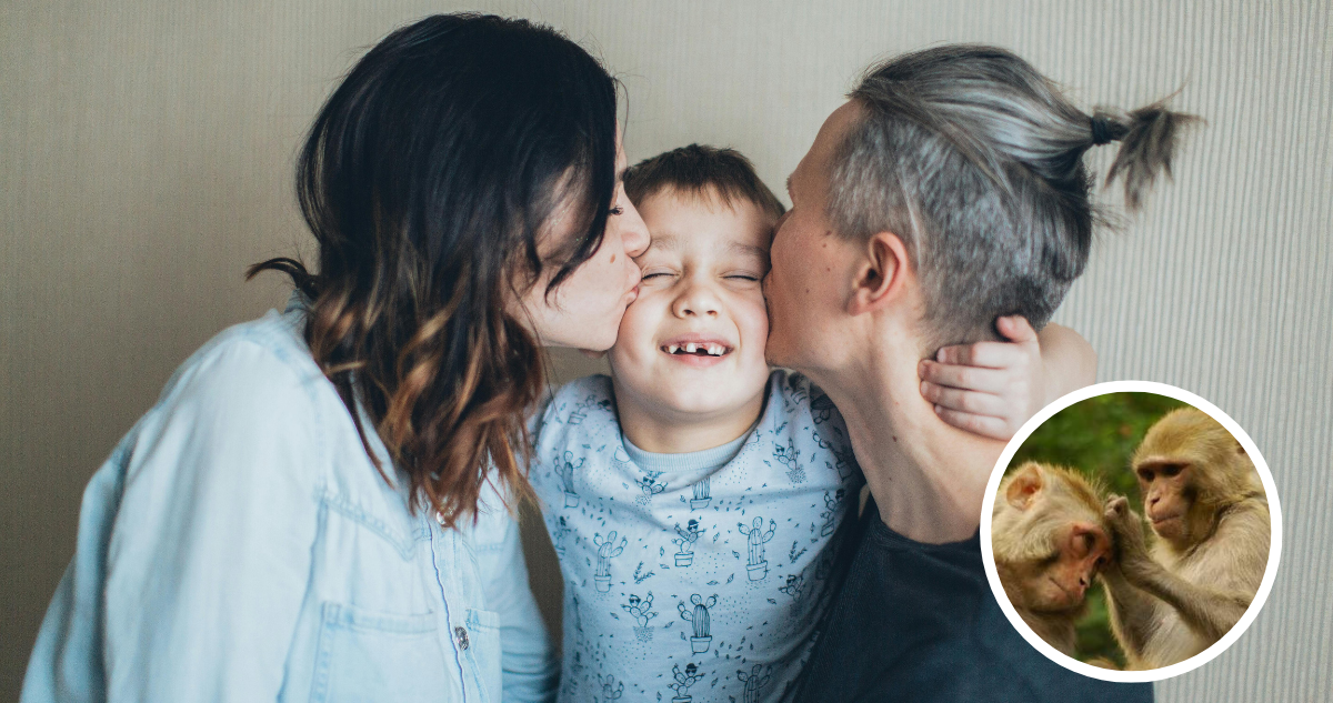 La curiosa hipótesis que explicaría el origen de lo besos: tiene relación con el vello corporal.
