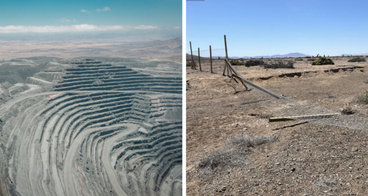 Encontraron restos de guanacos: SMA ordena medidas urgentes a empresa de CAP en mina Los Colorados