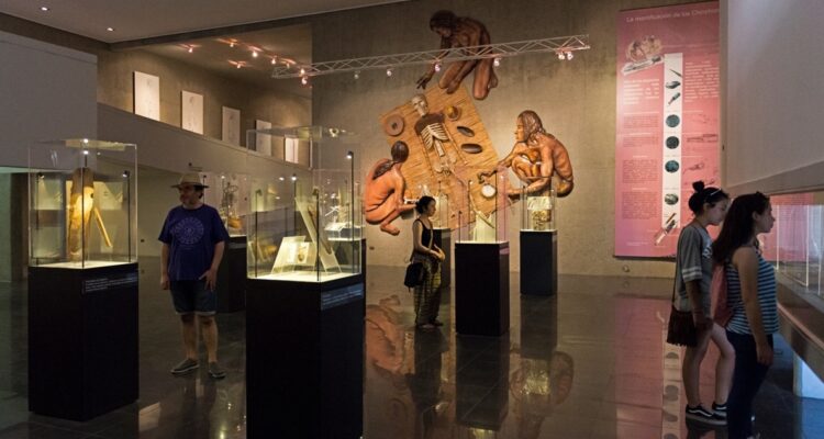 museo san miguel de azapa