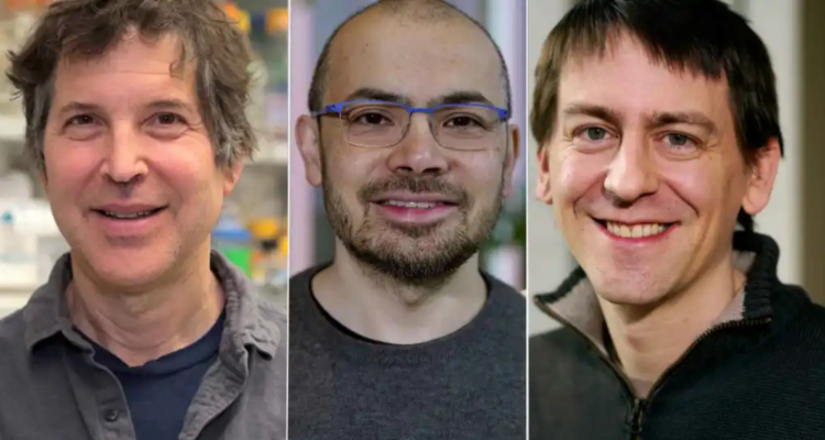 David Baker, John Jumper y Demis Hassabis obtienen el Nobel de Química por estudios sobre proteínas