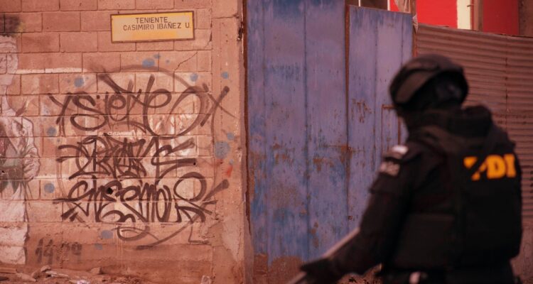 Criminalidad darwiniana: “El delincuente dice ‘si no seguimos la lógica extranjera, nos extinguimos