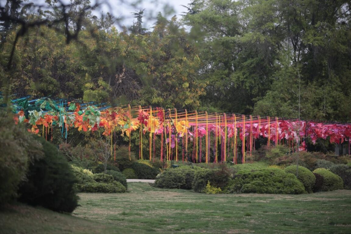 "Flores al Cielo": jardín aéreo con más de 400 flores recibe la primavera en Parque Américo Vespucio