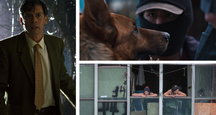 Patio de chacales, El ladrón de perros y Piel de vidrio