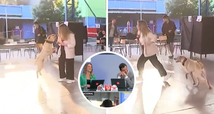Sofía Carrizo se ve sorprendida por un perro juguetón mientras despachaba en local de votación en la región Metropolitana.