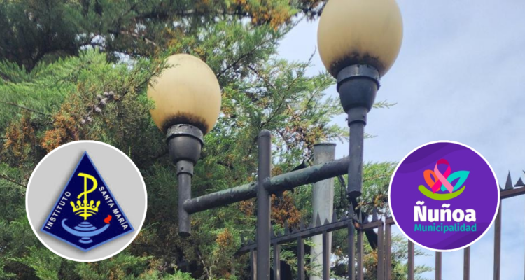 Perro muere electrocutado tras orinar un farol en Ñuñoa: colegio y municipio se culpan mutuamente