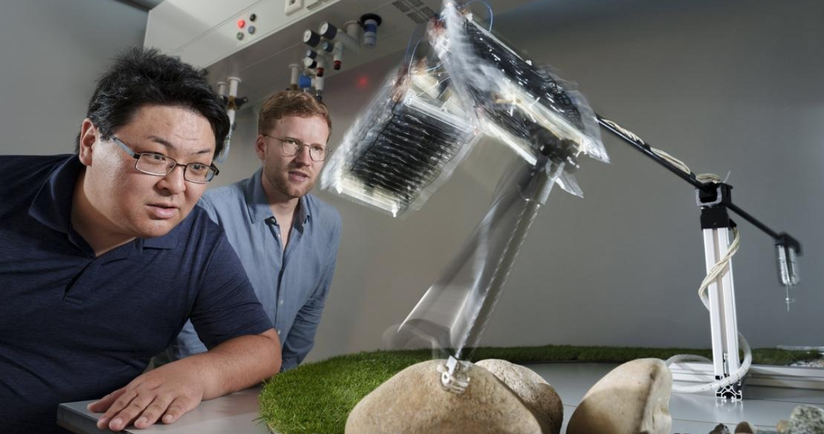 Foto de la primera pierna robot con músculos artificiales