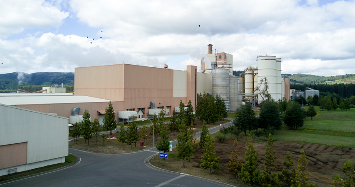 arauco.com