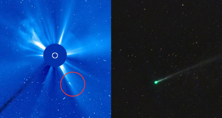 Cometa C/2024 S1 (ATLAS) que se desintegró en el Sol