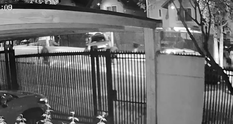 Conductor intenta atropellar a delincuente y evita portonazo en su contra en Peñalolén