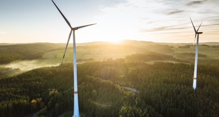 Maqueta digital de proyecto eólico de empresa Arauco por demora del SEA