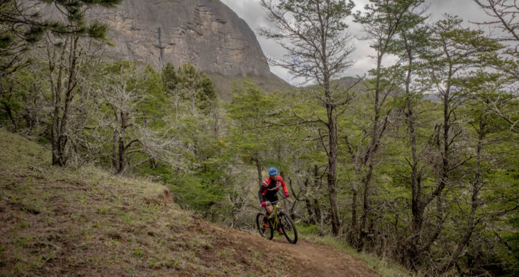 Proyecto Patagonia: la inédita iniciativa verde que CMPC presentó en la COP sobre Biodiversidad
