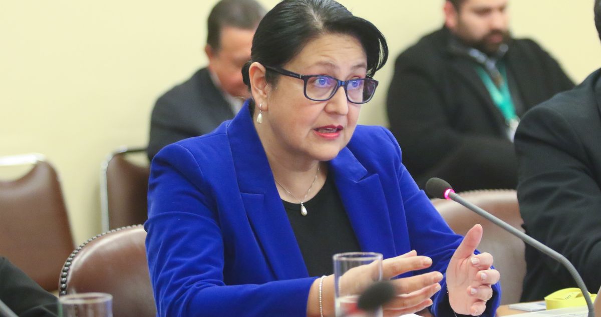 Quién es Dorothy Pérez la contralora subrogante que fue propuesta por el presidente gabriel boric para ser la jefa de Contraloría CGR