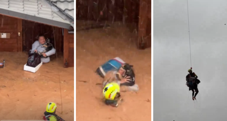 Registran dramático rescate de mujer y sus mascotas en España por temporal que ha dejado 51 muertos