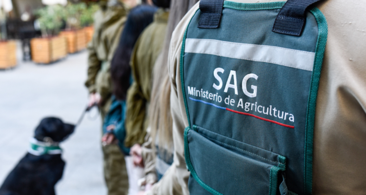 Roban seis camionetas del SAG de Arica