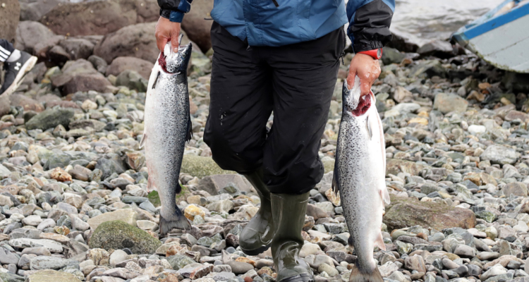 Salmones por reunión de autoridades de La Araucanía y Los Lagos
