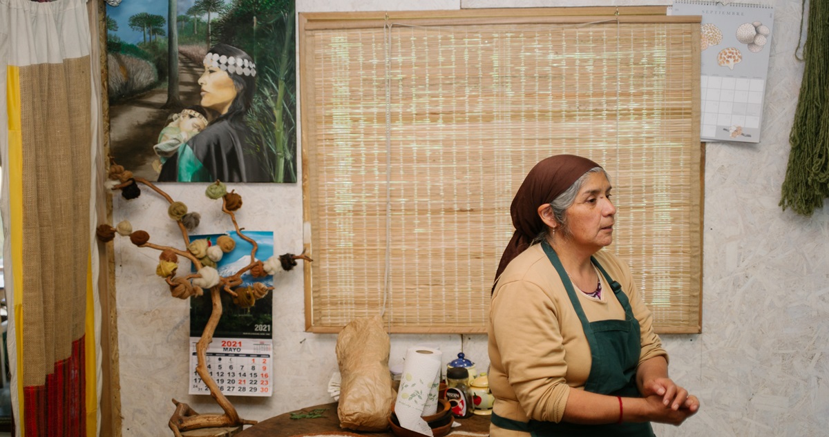 saberes mapuche encuentro curarrehue