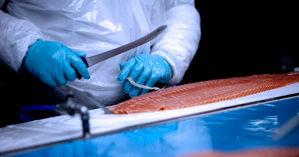 Multan a salmonera de Aysén por no monitorear bien una enfermedad que afecta a los peces