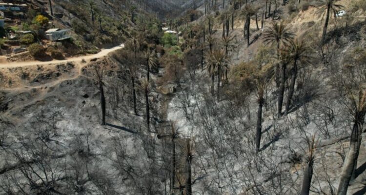 Desafectar zona afectada por incendio