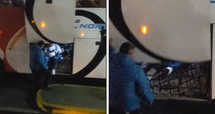 Por falta de asientos, viajaron seis horas en el maletero de un bus: ahora Sernac demandará a empresa