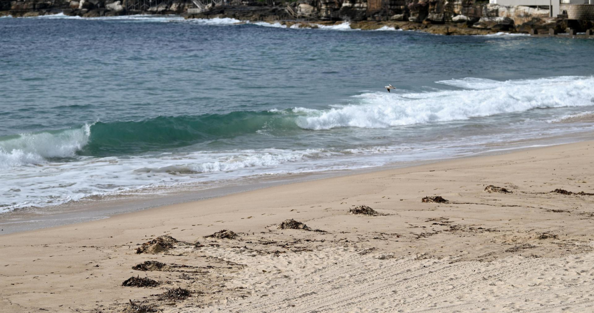 Cierrn dos icónicas playas de Sídney por la aparición de miles de bolas negras de alquitrán