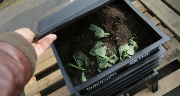 Composteras Dalcahue