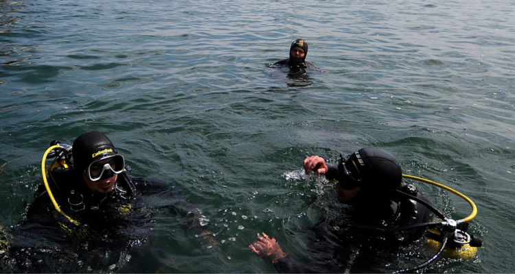 Buceo profesional