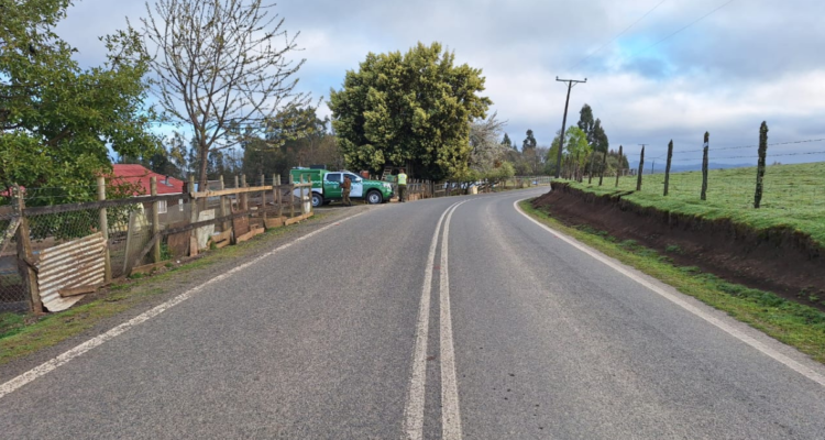 Atropello San Juan de la Costa