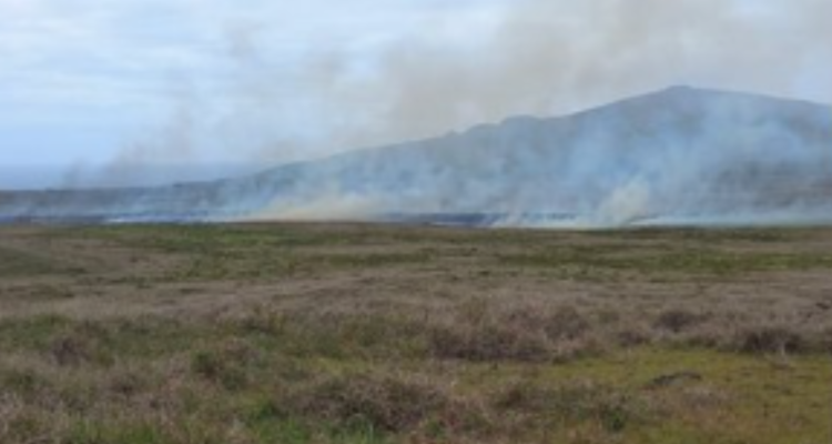 Alerta roja incendio Rapa Nui