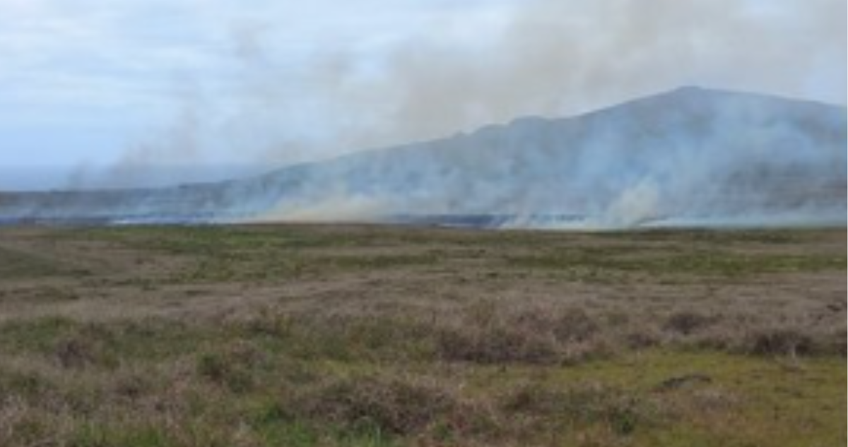 Alerta roja incendio Rapa Nui