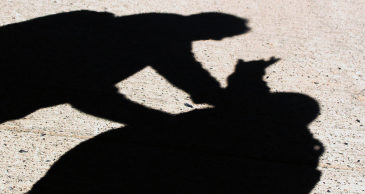 Estuadnite acusado de apuñalar a compañero en Máfil