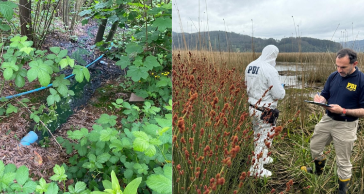 Aguas servidas humedal Angachilla