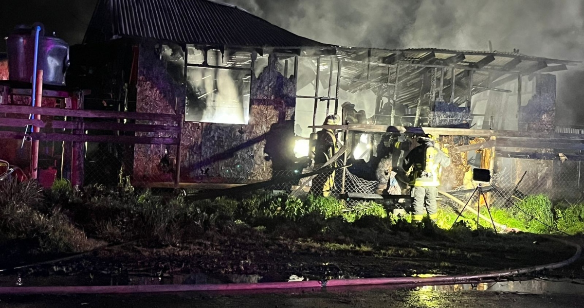 Trágico incendio en Osorno: abuelo muere y nieta está grave por quemaduras