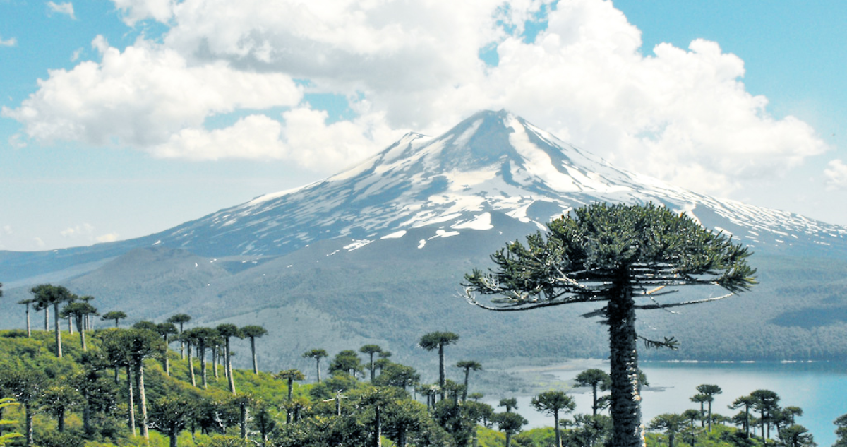 Tras caída de 200 metros rescatan con vida a cuatro mujeres accidentadas en volcán Llaima