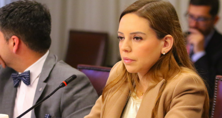 UDI anuncia “propuesta transformadora” para fines de octubre: responderá demandas del estallido social