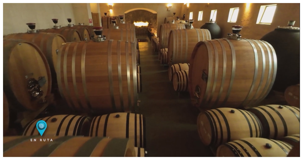 Bio Bio en ruta: Valle de Cachapoal, la ruta del vino