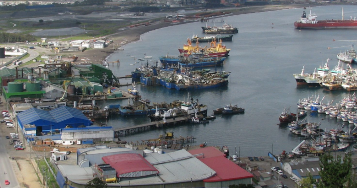 Inversiones por más de 80 millones de dólares mantiene en carpeta industria pesqauera en el Bío Bpuio
