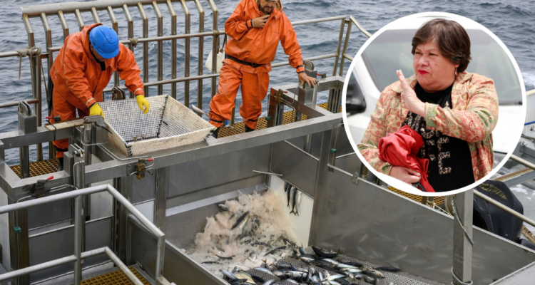 Gremio industrial pesquero critica a diputada Acevedo por votar a favor del fraccionamiento de merluza